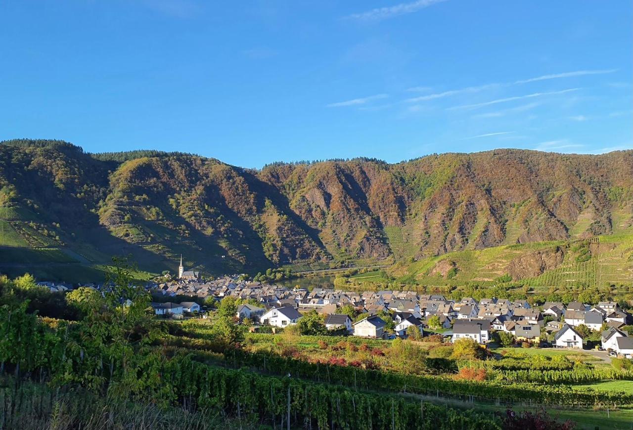Apartment Attraktive Wohnung-elztalidyll-zwischen Mosel,nürburgring Und Burg Eltz